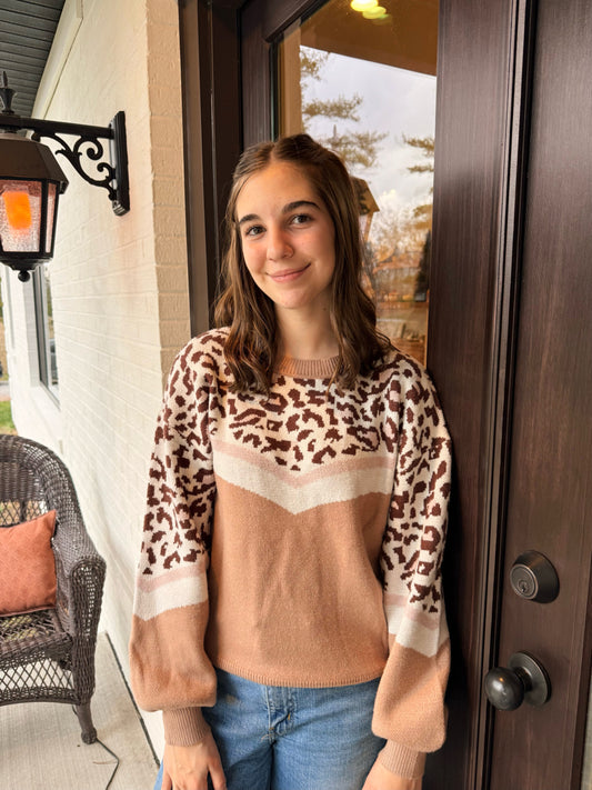 Winter Wildcat Sweater