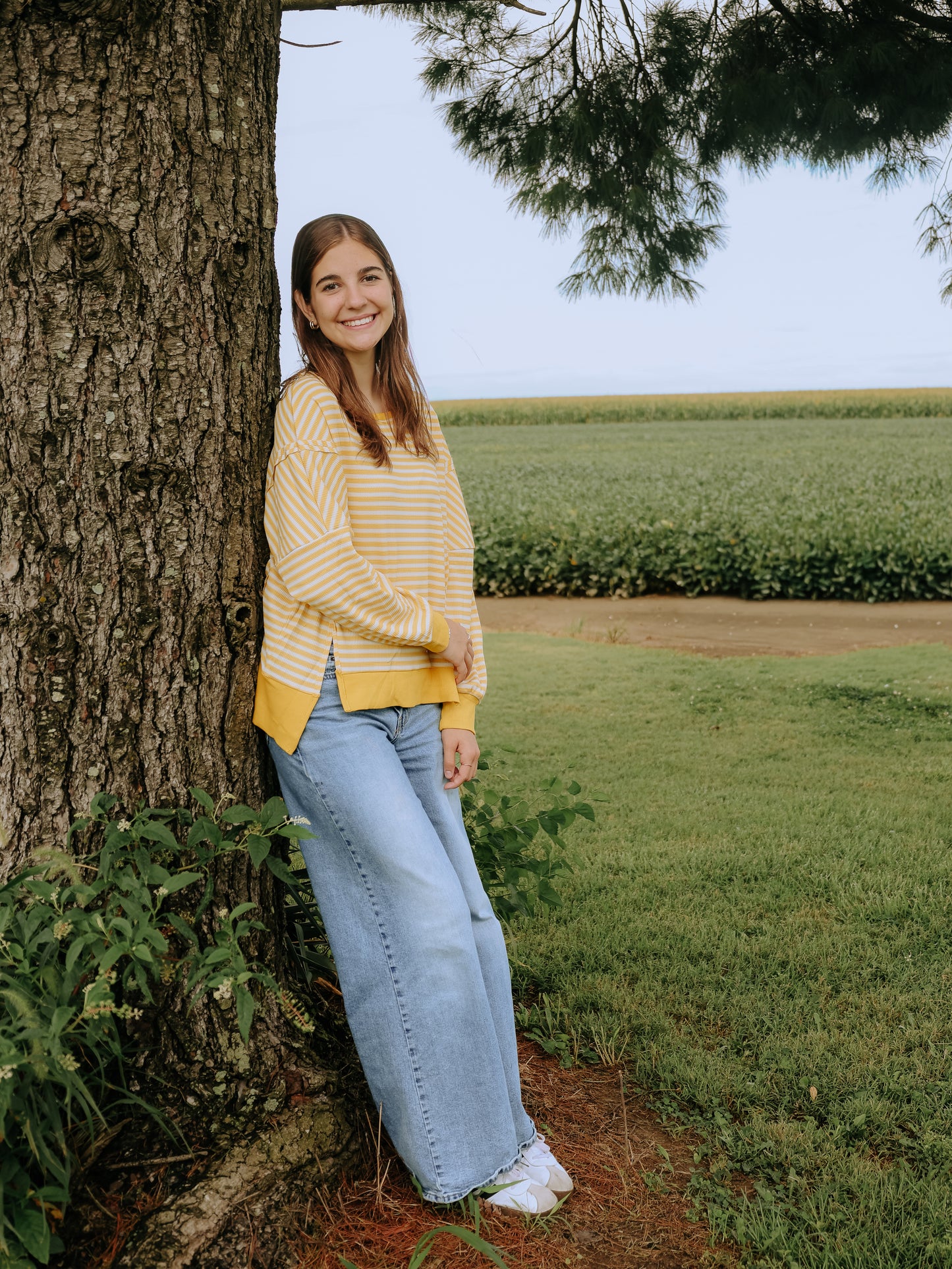 Golden Hour Pullover