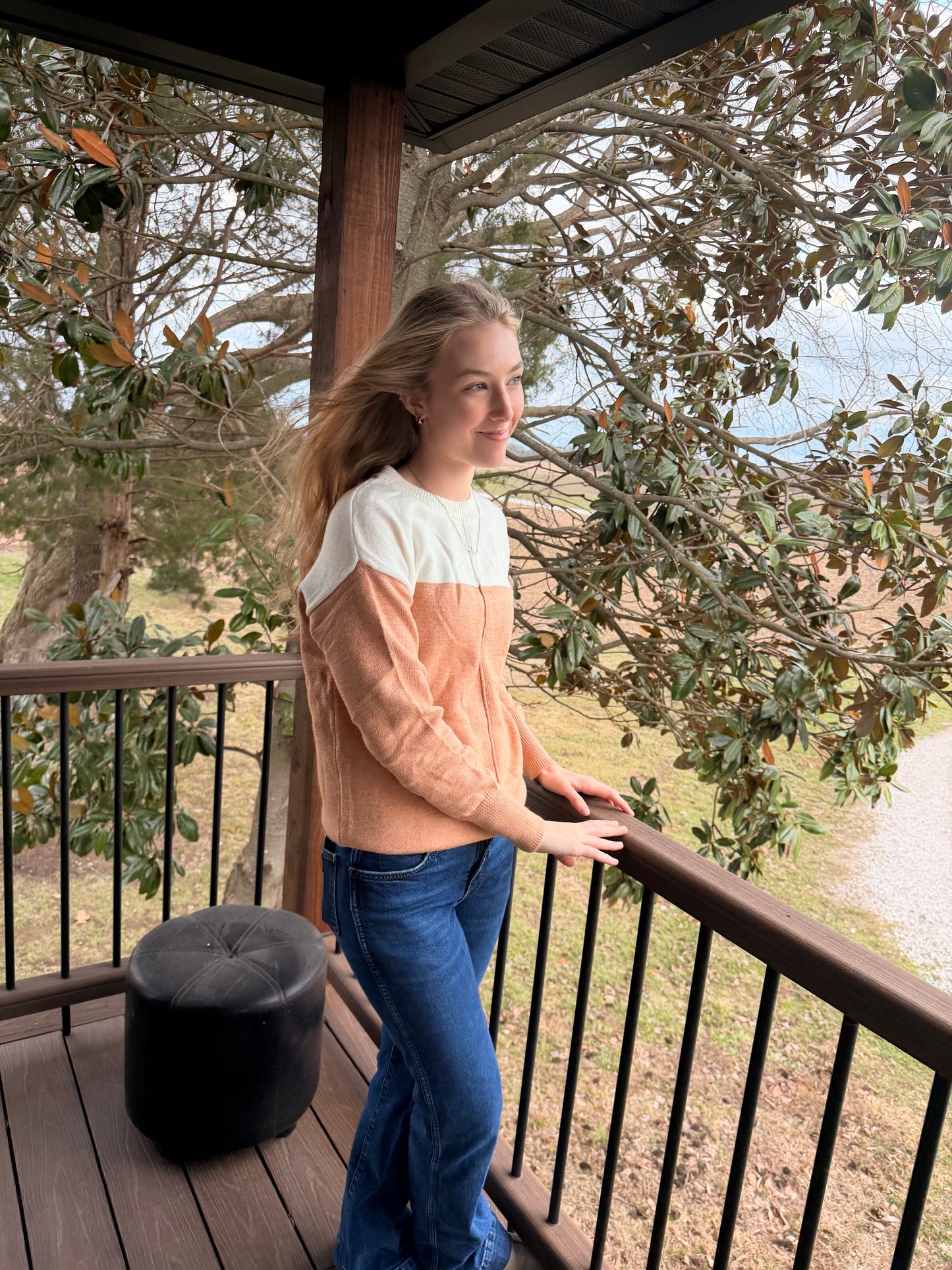 Winter Horizon Sweater